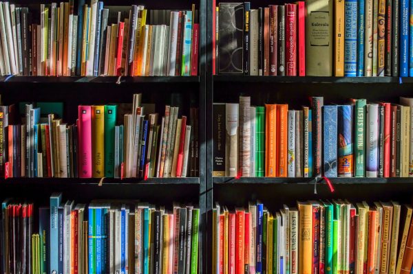 Imprenditorialità sostenibile: come avviare un’impresa ecologica